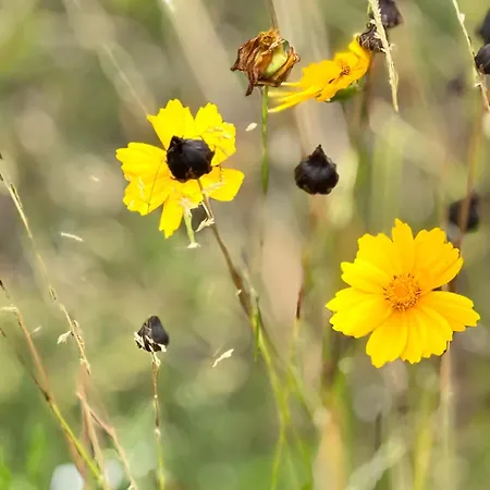 Kozara Panoramic * Bosanska Gradiska